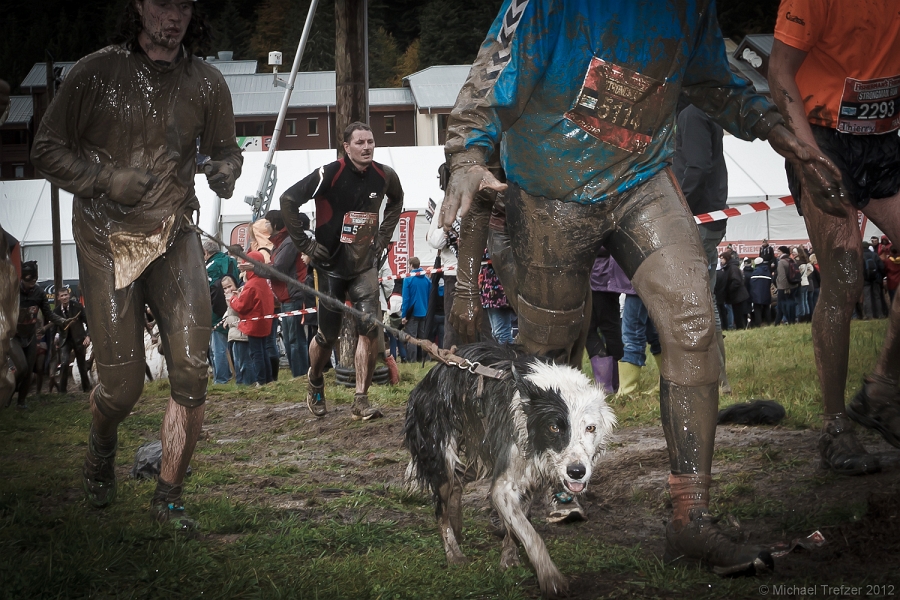 Strongman Frankreich 2012-4059.jpg